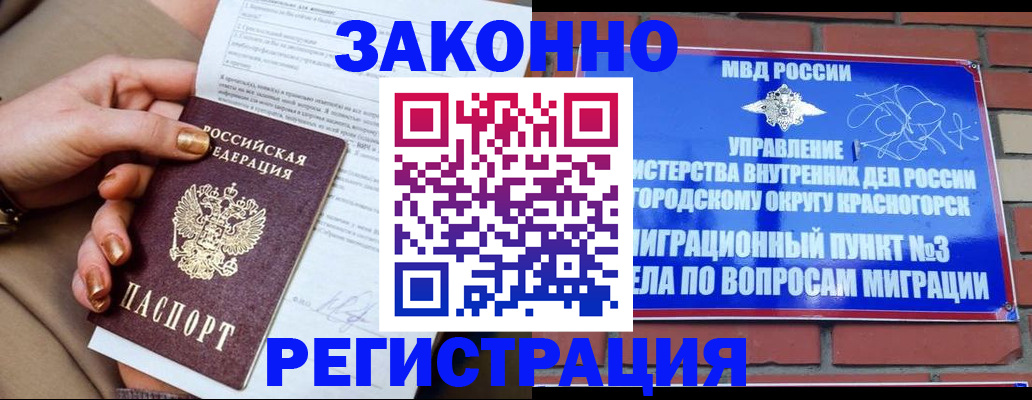 прописка гарантия в Камышине